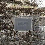 fort loncin 8